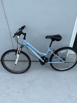 24 inch Roadmaster granite peaks