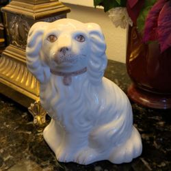 Italian Staffordshire Dog