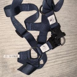 Blue Dog Collar & Leash