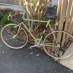 Lotus Road Bike 