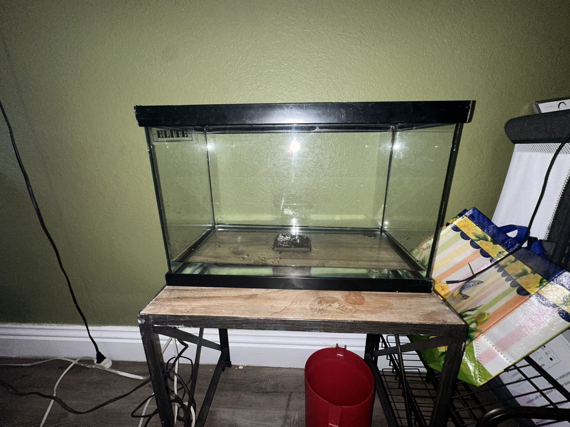 10 Gallon Tank 