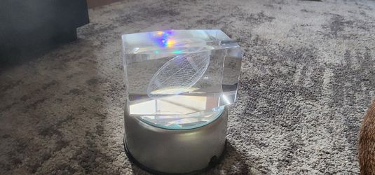 Glass Football And Basketball Shot