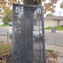 Security Door With Hand Rail 