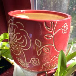 Large, Deep 16-inch Ceramic Flower Plant Pot