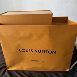 Louis Vuitton Bags From The Store 