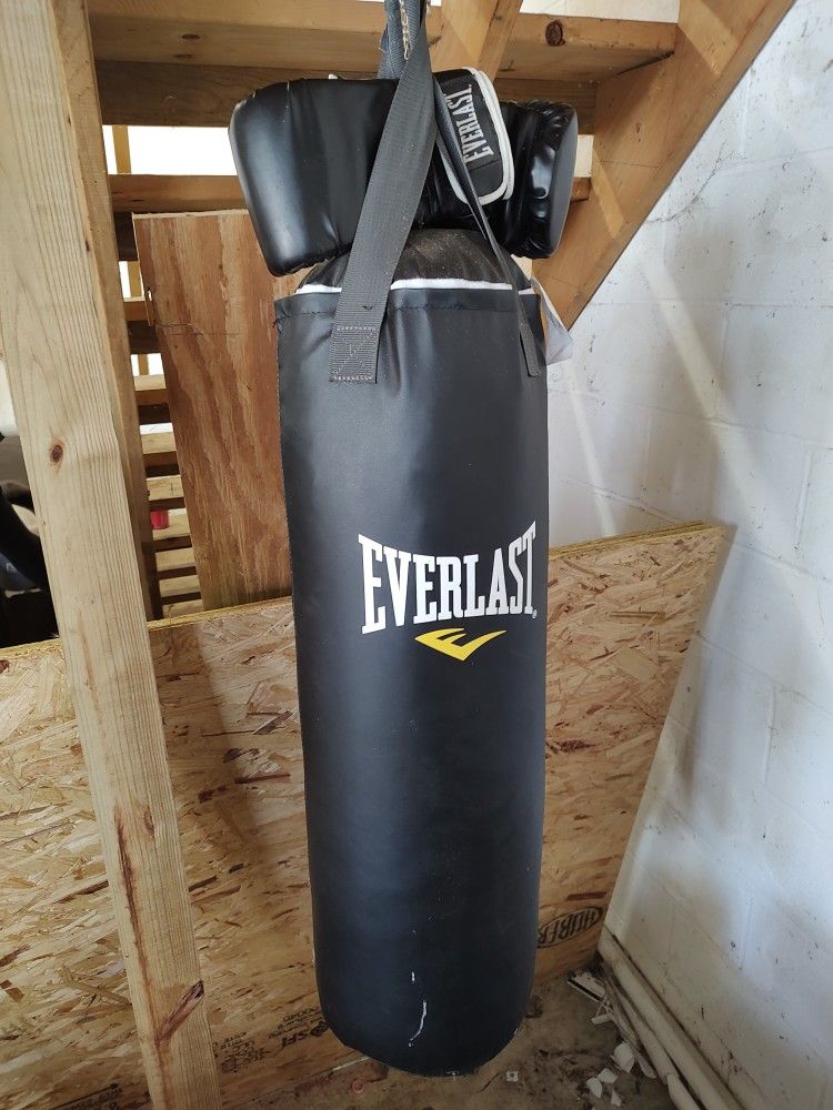 Everlast Punching Bag 