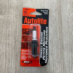 Autolite 3924 Small Engine Spark Plug New Sealed Replaces NGK BKR5E