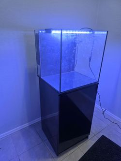 24 gallon fishtank