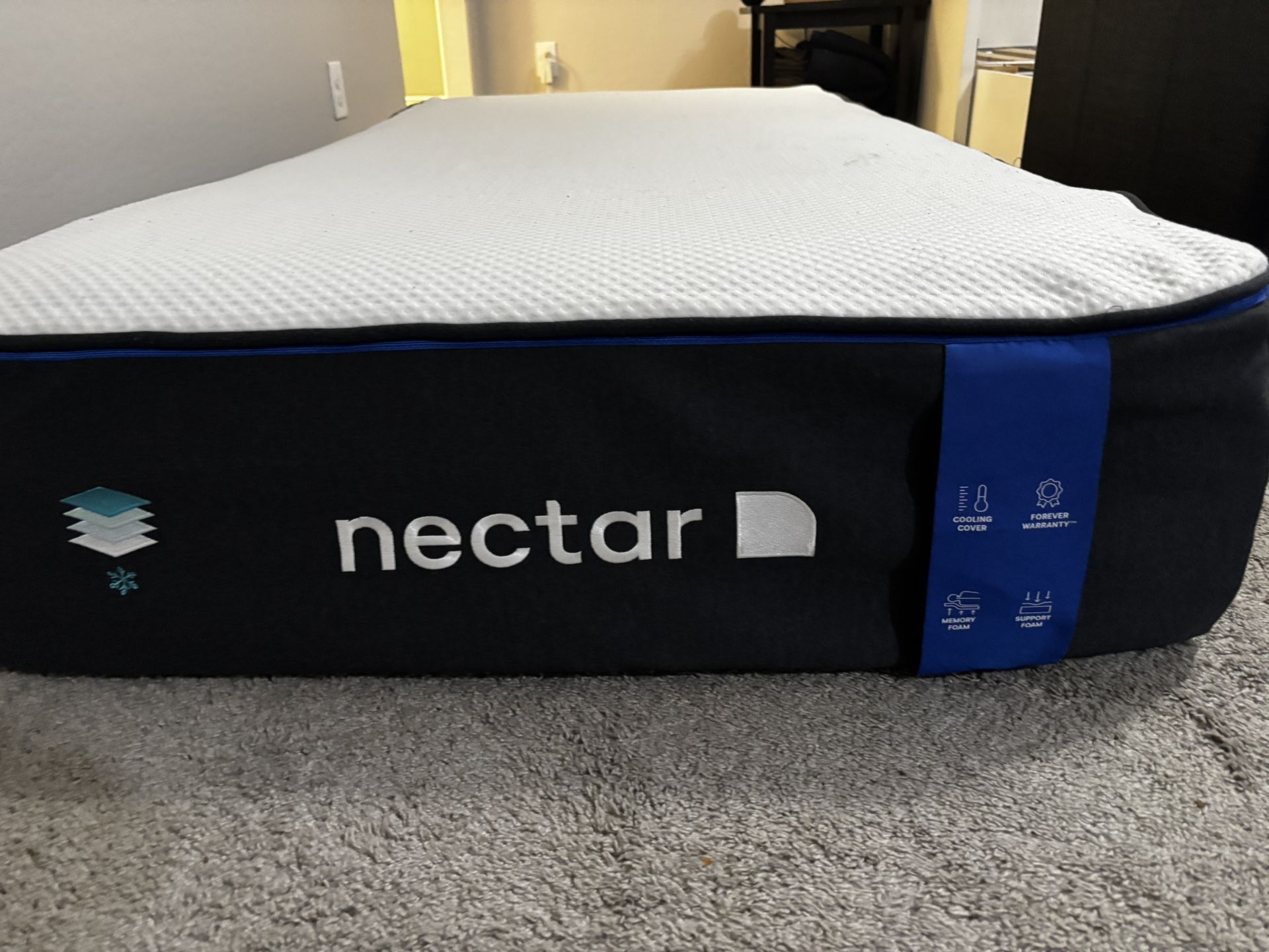 2 Twin Mattresses