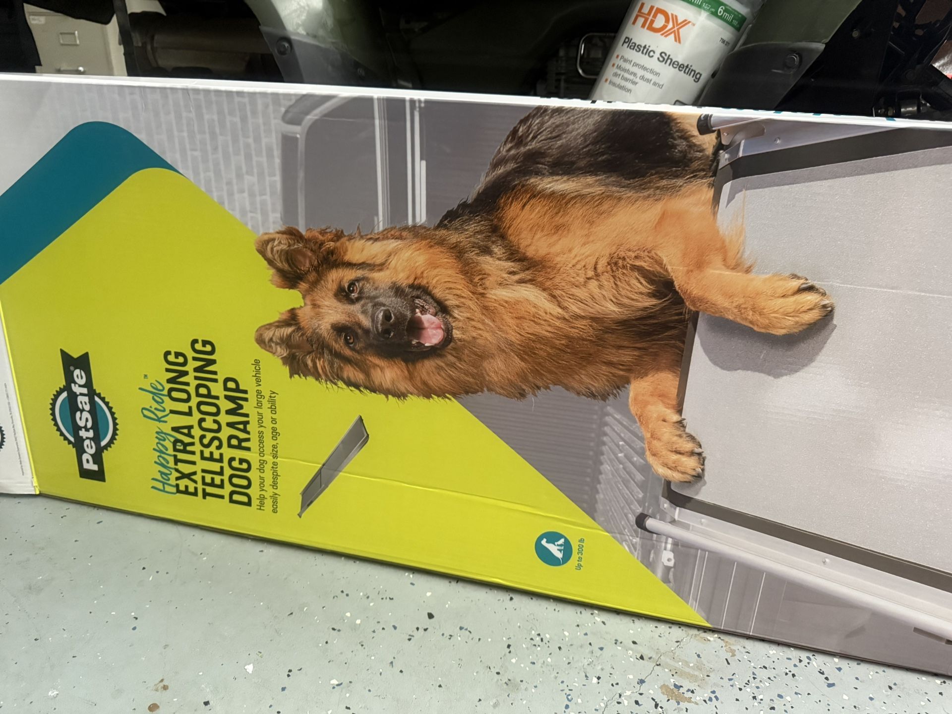 Dog Ramp 