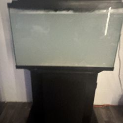 29 gallon with stand 