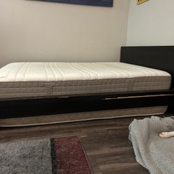 Mattress, Bed Frame, and Box Spring