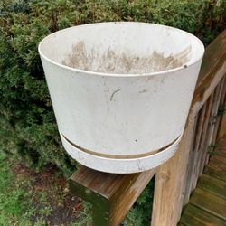 Beautiful planter bucket 