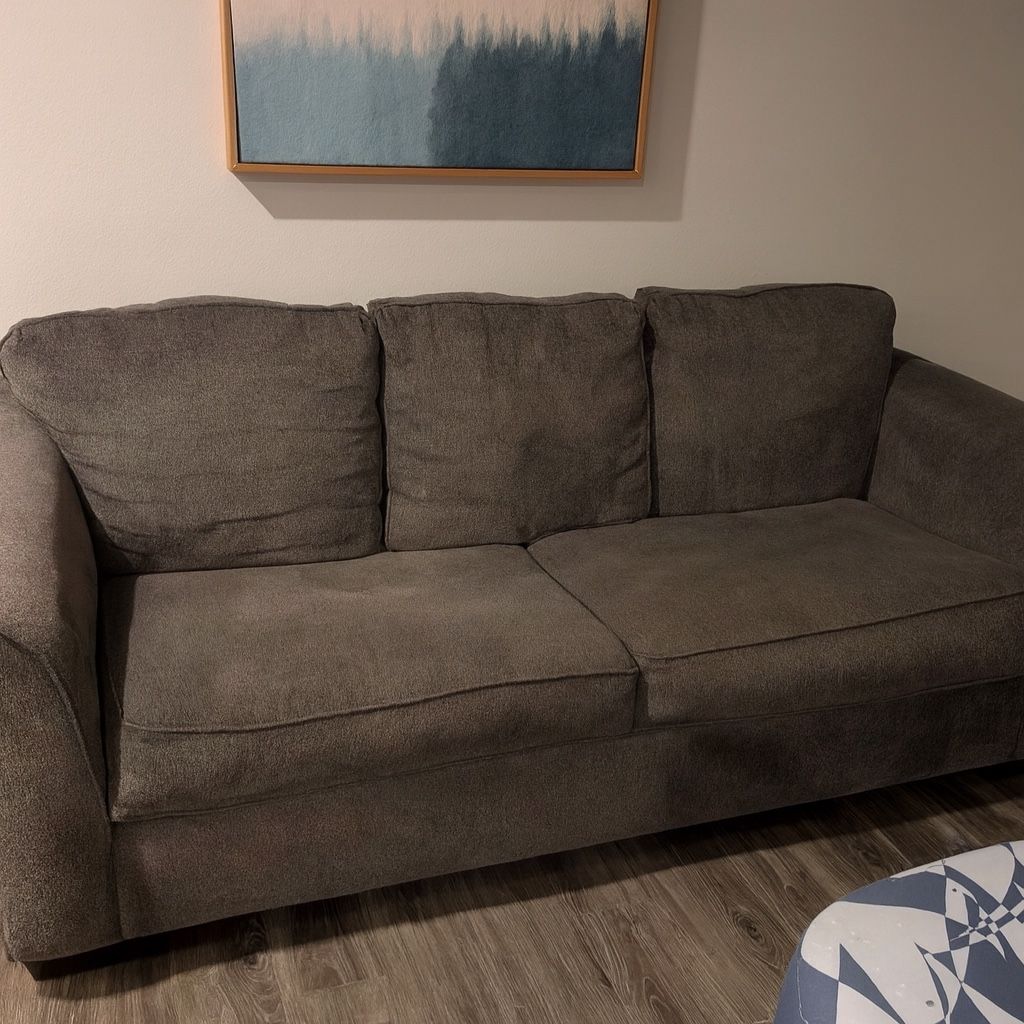 Brown Plush Couch - Like New