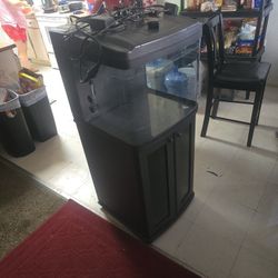 32 gallon Aquarium fish tank