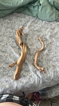 reptile sticks
