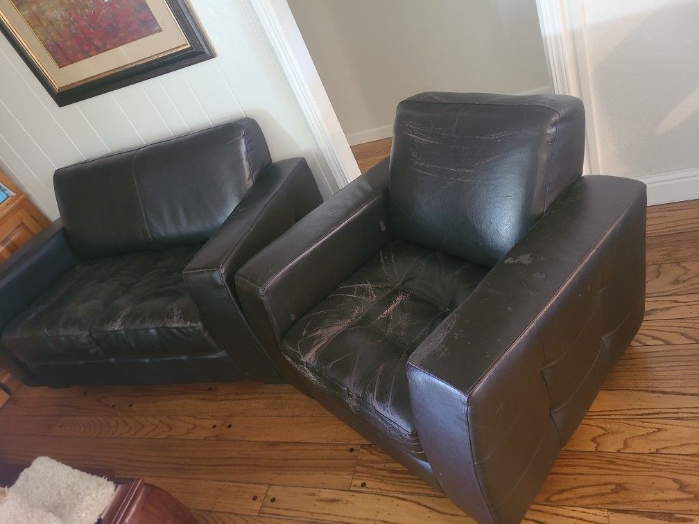 Free Sofa/Couch