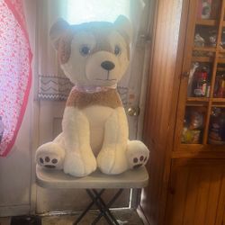 Big Dog