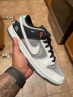 Nike sb dunk low camcorder