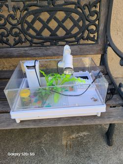 Small Turtle Tank Kit