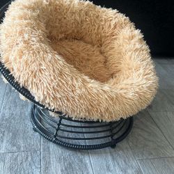 Dogs Bed