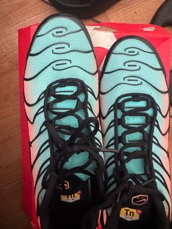 Nike Air Max Plus TN Sneakers
