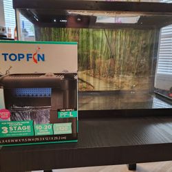 10 Gallon Aquarium With Filter