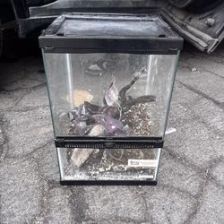 Reptile Enclosure (2)