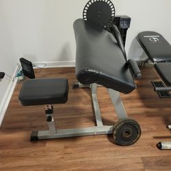 Seated curl machine
