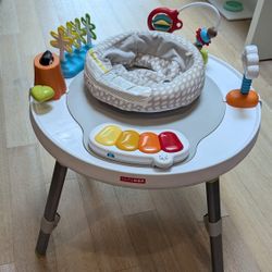 Skip Hop baby activity center