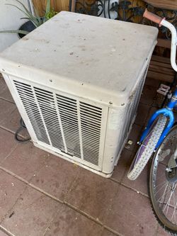 Swan Cooler