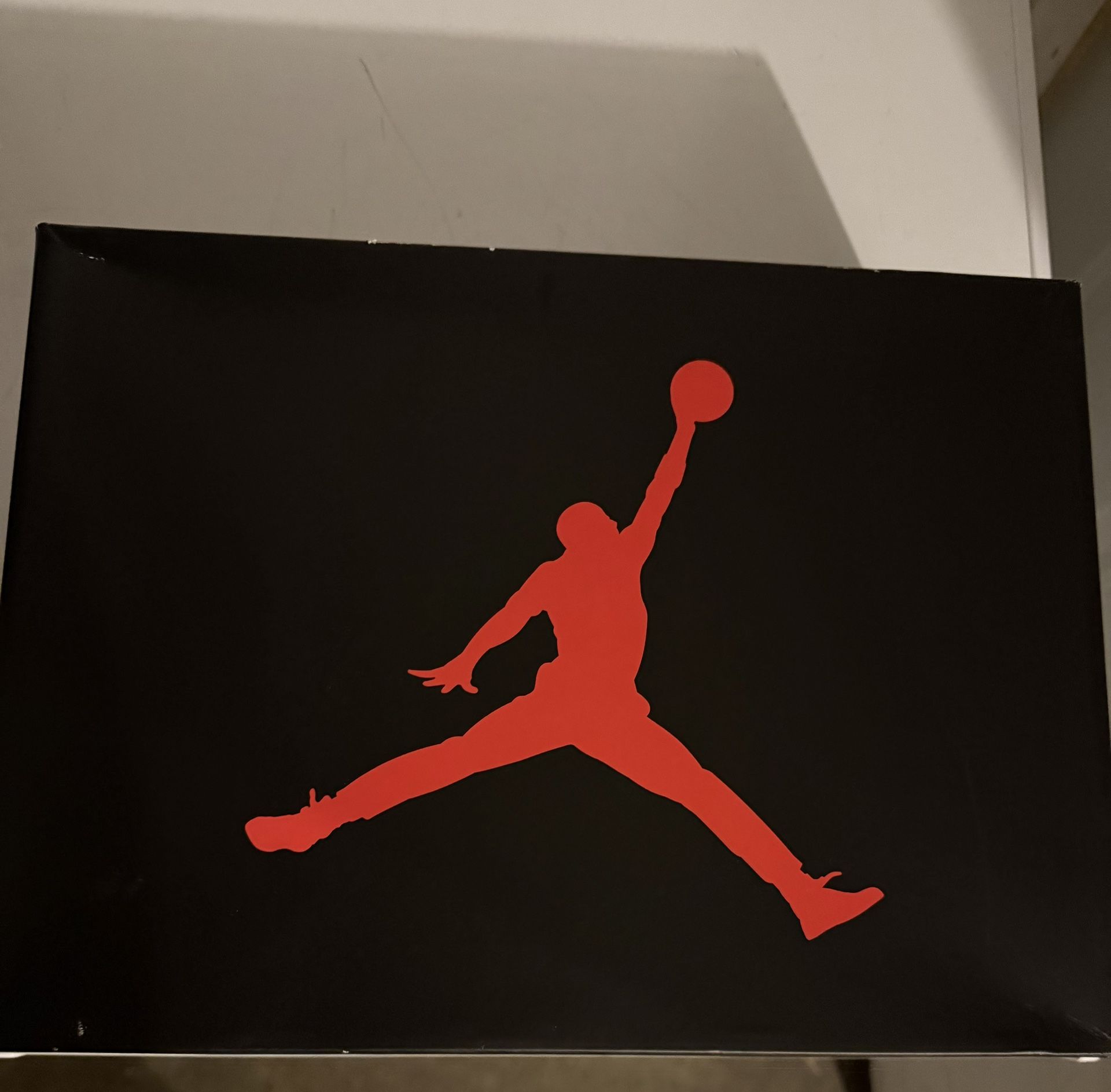 Jordan 3 (Pure Money) Sz 13