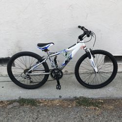 24 In Mountain Bike (negotiable)
