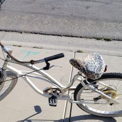  Beach Cruiser Type Bike