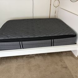 Queen Sealy Mattress