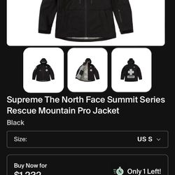 Supreme the north face summit series rescue mountain pro jacket