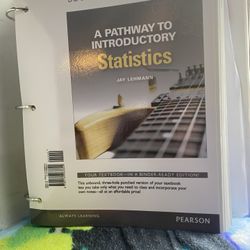 Introduction to Statistics Textbook 