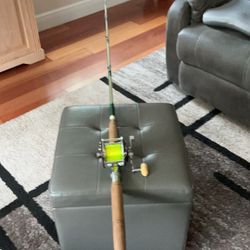 6  ft. 6inch Montage Rod,and Penn 309 Leveling Reel. Salt Water Combo