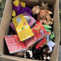 Beanie BABIES! Entire Box 