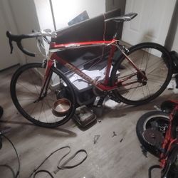 Bianchi 