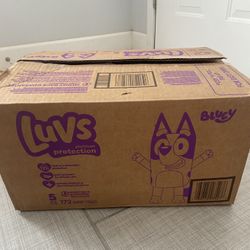 Luvs Size 5 Diapers 172 Ct