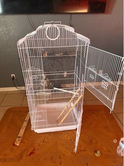 Bird cage