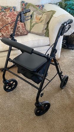 Adult Walker