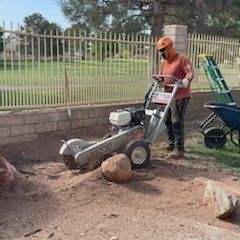 ☘️Stump Grinding ☘️