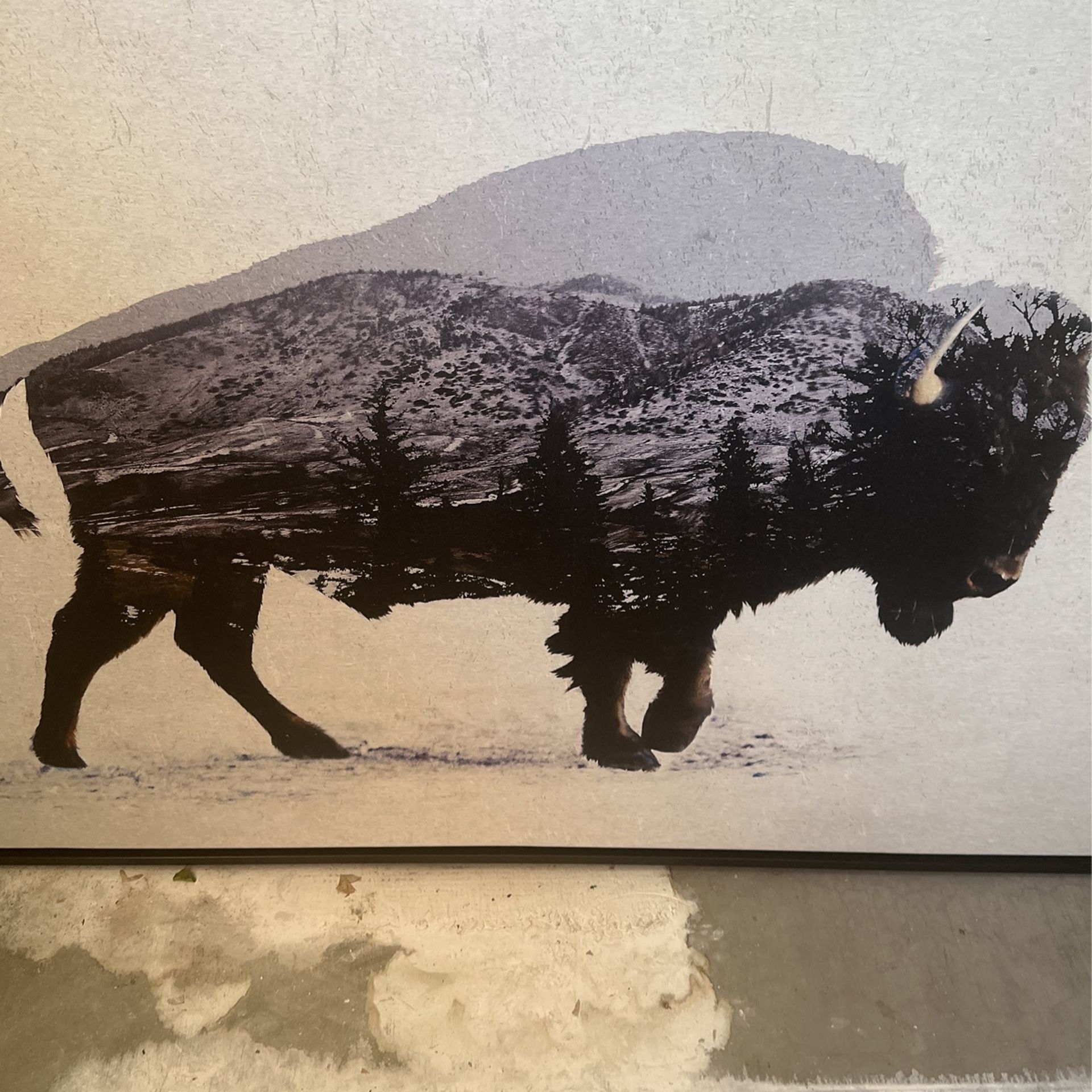 Bison Mountain Print