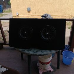 Two 10 In Kicker Subwoofers 