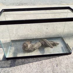 20 Gallon Fish Tank+Drift Wood