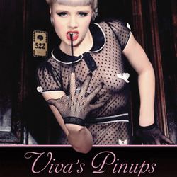 Viva's Pinups The Photographic Art of Viva Van Story Hardcover Book