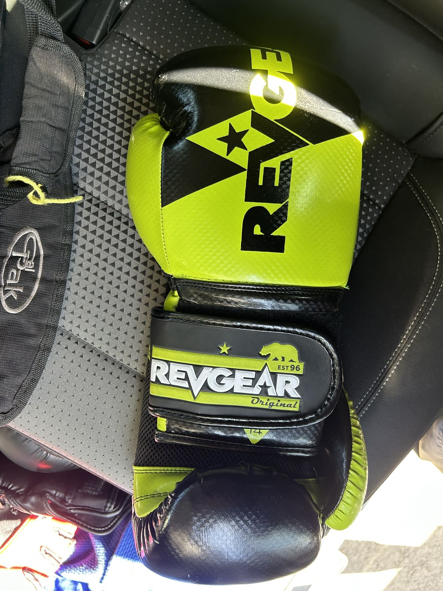 REVGEAR Boxing Gloves