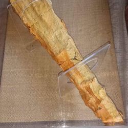  Petrified Opalized Wood Tree Branch 